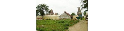 250. திருவிற்கோலம் (கூவம்)